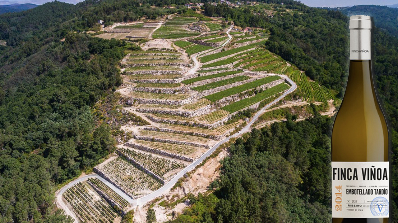 Finca Viñoa Embotellado Tardío
