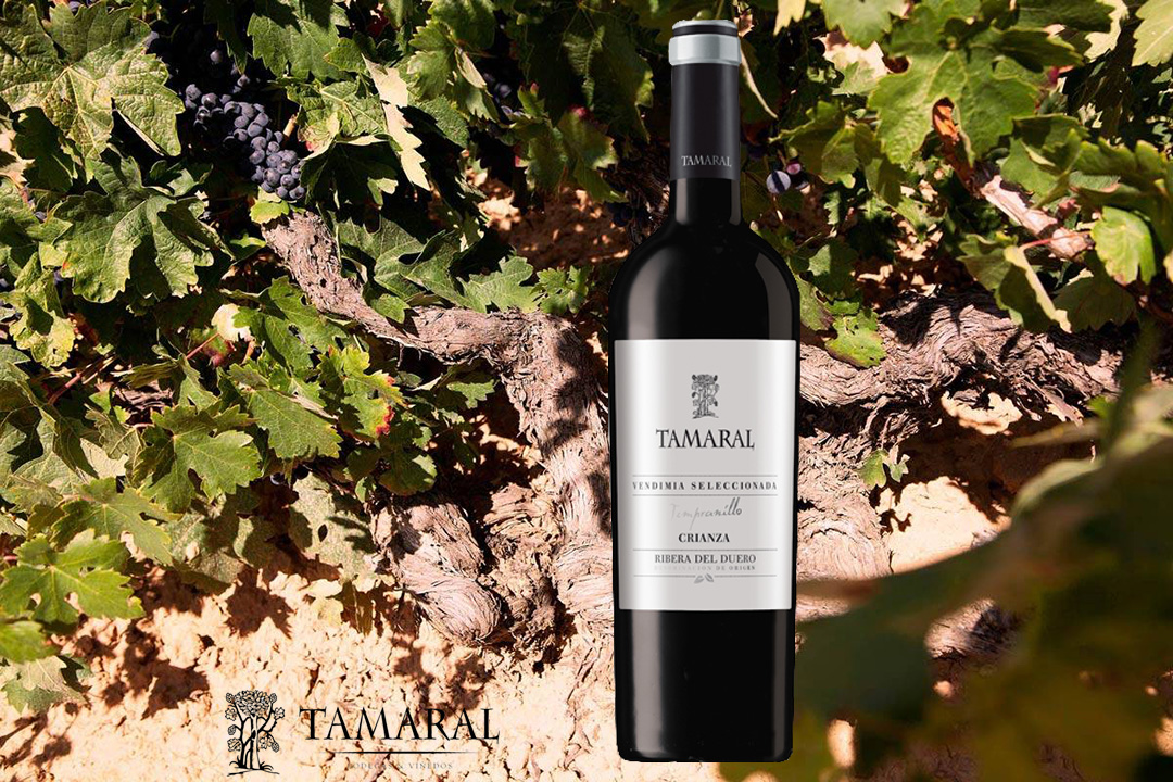 Tamaral crianza Magnum