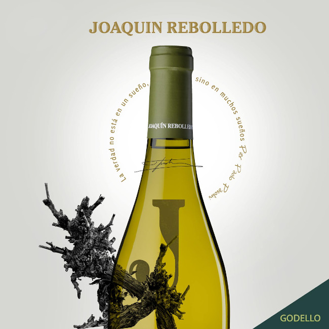 Joaquin Rebolledo Godello