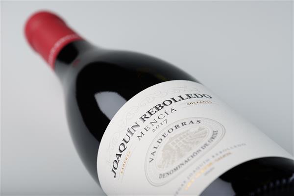 Joaquin Rebolledo Mencia