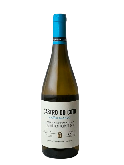 Castro do Coto
