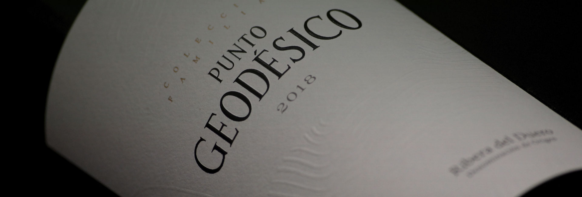 Punto Geodésico