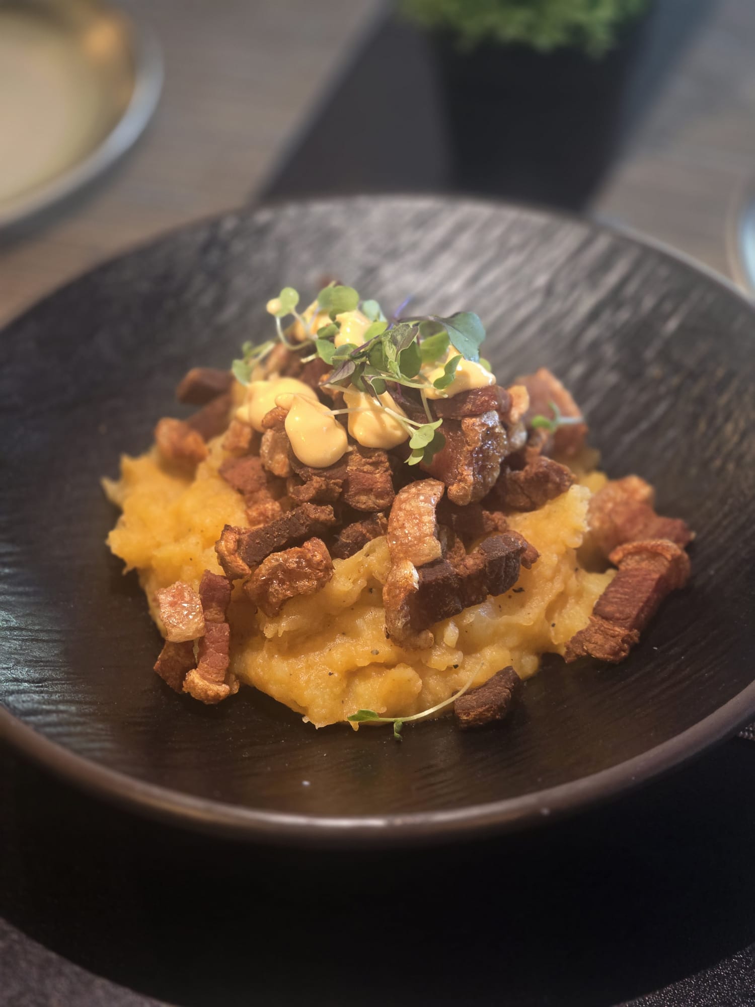 platoESPANOL